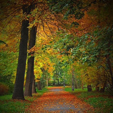 Autumn Colours By Jaroslaw Grudzinski Fall Colors Autumn Landscape