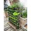 Top 10 DIY Vertical Garden Ideas That You Will Find Helpful