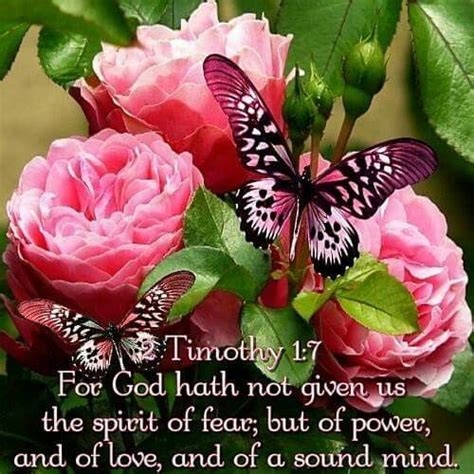 The good book has a lot to offer on the topic. 313 best More Butterfly Bible Quotes images on Pinterest