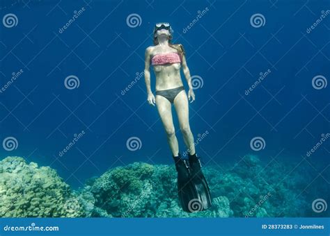 Woman Free Diving And Snorkeling On A Coral Reef Stock Image Image Of Activity Marine 28373283