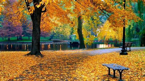 Autumn Park Wallpapers Wallpaper Cave