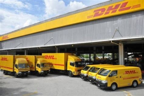 Check and analyse incoming files, requests and queries. DHL Langkawi Agent, Courier Service in LANGKAWI
