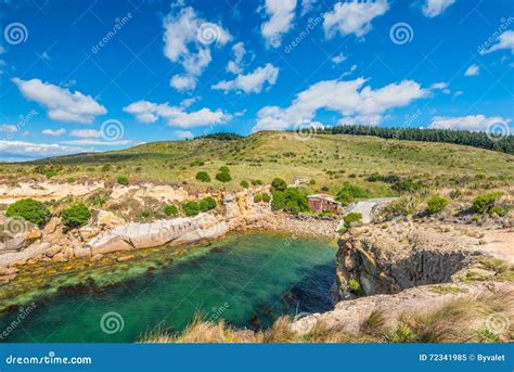 New Zealand Colorful Coast Landscape Stock Image Image Of Landscape