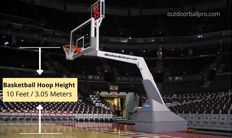 Height Of A Basketball Hoop In Meters By Age Nba