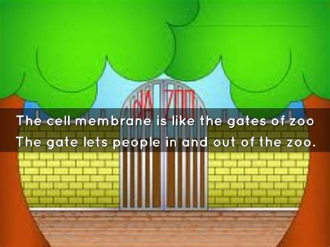 Many people like to go to the zoo with their families. A Cell Is Like A Zoo by houzeaur