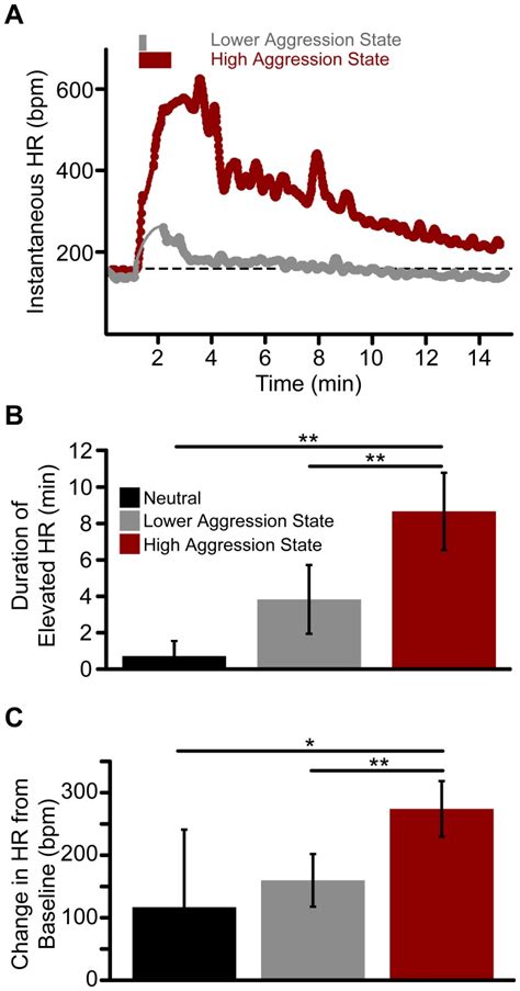 A Instantaneous Heart Rate Beats Per Min Bpm During Two 15 Min