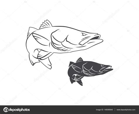 Common Snook Fish For Logo — Stock Vector 148365645