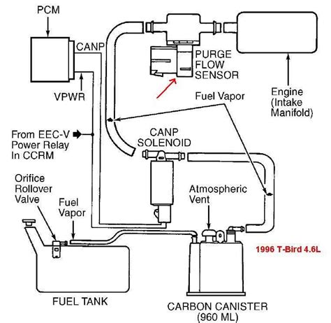 2001 Ford Ranger Evap System Diagram