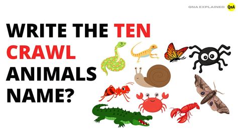 Write The Ten Crawl Animals Name Qna Explained Youtube