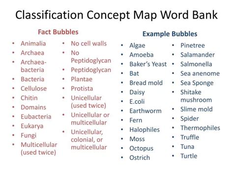 Ppt Classification Concept Map Word Bank Powerpoint Presentation