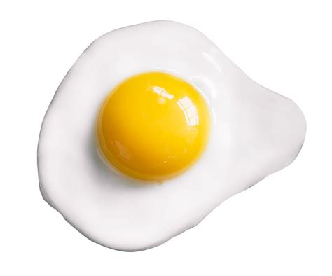 Fried Egg Png Transparent Image Download Size 1156x962px