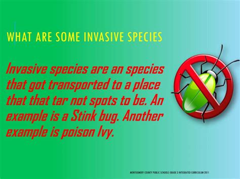 Ppt Invasive Species Powerpoint Presentation Free Download Id2420305