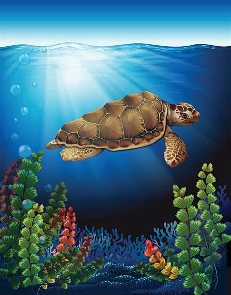 Sea Turtle Clip Art Vector Images And Illustrations Istock