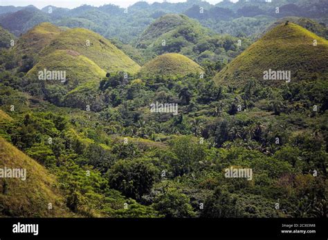 Chocolate Hills Bohol Island Central Visayas Philippines Stock Photo