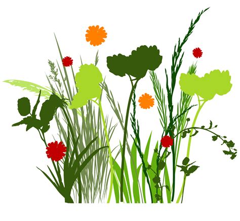 Coloured Meadow Clipart 20 Free Cliparts Download Images On