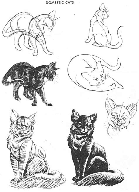 The Art Of Animal Drawing By Ken Hultgren Animal Sketches Animal