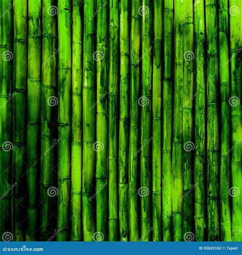 Bamboo Texture Stock Photo Image Of Bamboo Background 93633162