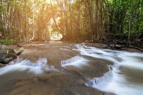 Beautiful View Of A Stream In The Tropical Rainforest Stock Photo