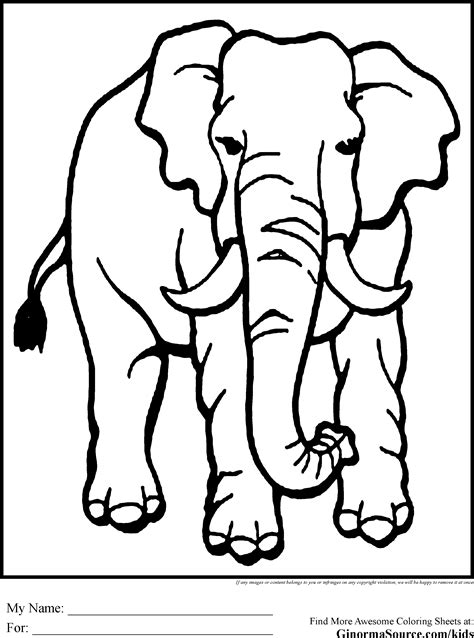 Endangered Animals Coloring Pages At