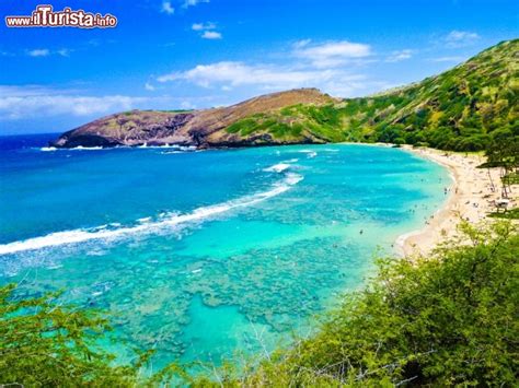 Spiaggia Con Barriera Corallina Alle Hawaii Foto Oahu