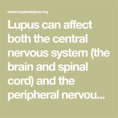 Lupus Can Affect Both The Central Nervous System The Brain And Spinal
