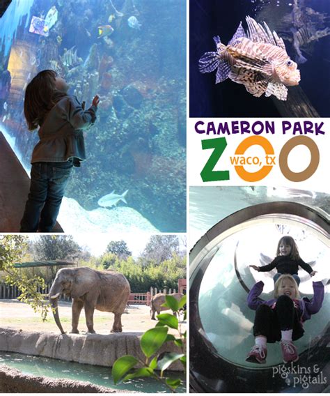 Things To Do In Texas Cameron Park Zoo