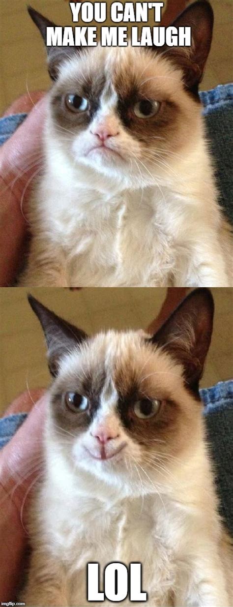 Grumpy Cat 2x Smile Imgflip
