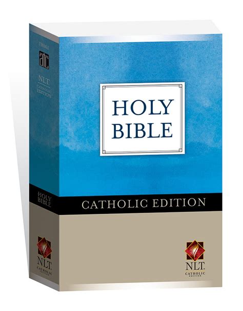 Holy Bible New Living Translation Catholic Edition At Rs 500pieces