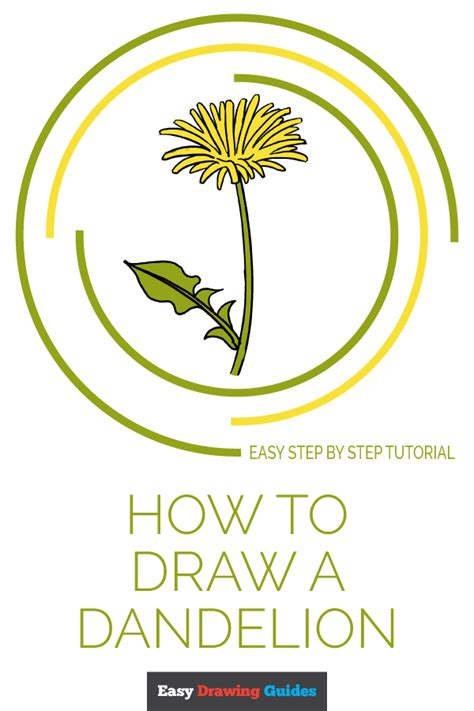 How To Draw A Dandelion Really Easy Drawing Tutorial