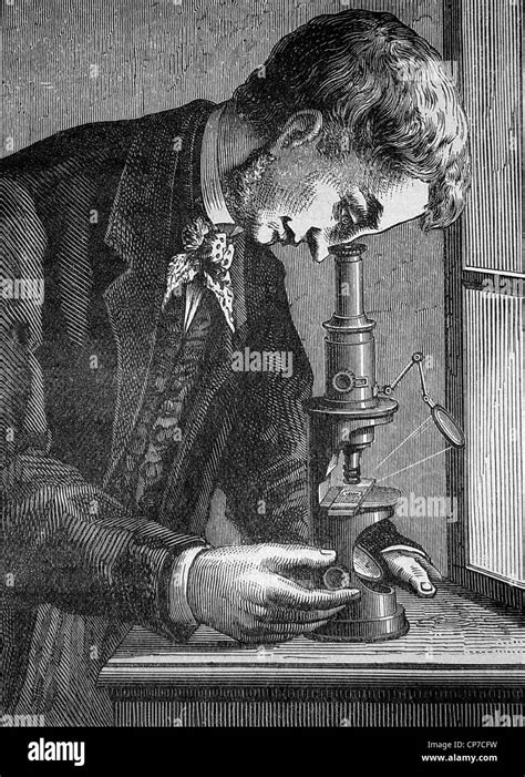 Half Body Portrait Of Victorian Scientist Looking Through Microscope Wood Engraved Dated