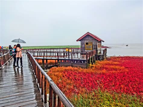Red Beach In Panjin China Most Beautiful Places In The