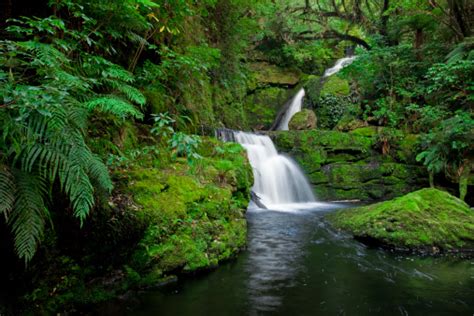 Waterfall In The Rainforest New Zealand Stock Photo Download Image