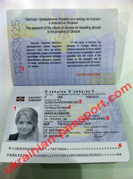Violation of conditions stipulated in the pass/permit. Tatyana Shabelnik - Ukrainian Passport