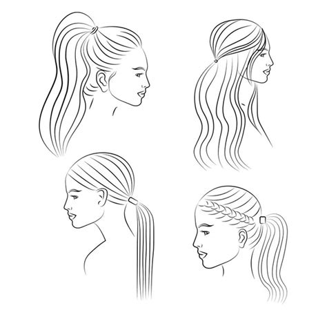 Hair Drawings Ponytail