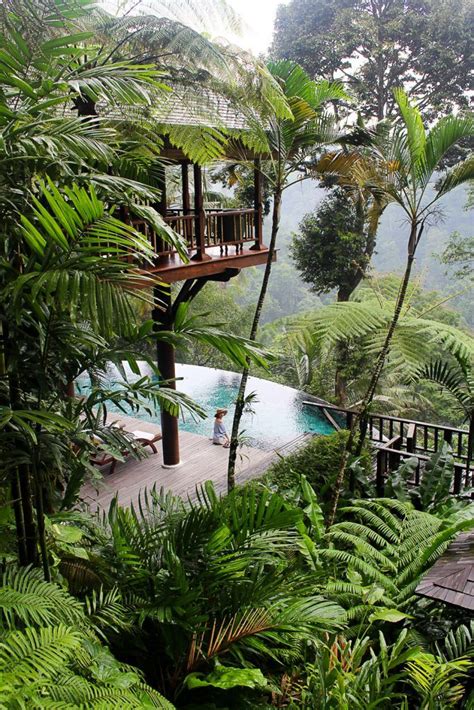 11 stunning treehouse airbnbs in bali itsallbee solo travel adventure tips artofit