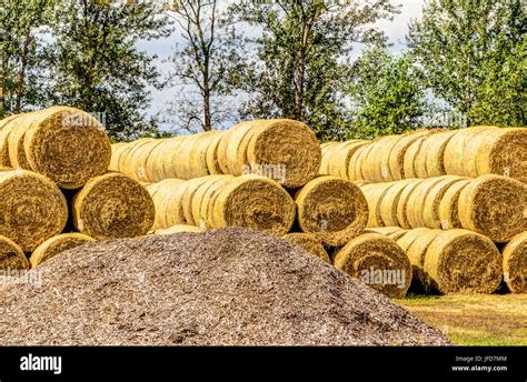 Stacked Straw Bales Stock Photo Alamy