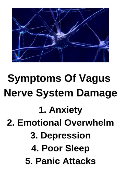 Symptoms Of Vagus Nerve System Damage Vagus Nerve Nerve Mental And