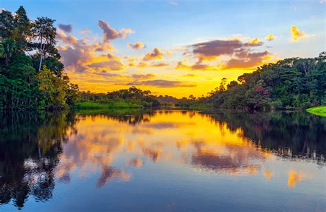 Top 15 Amazon Rainforest Activities Rainforest Cruises