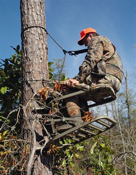 Treestand Safety For Alabama Hunters