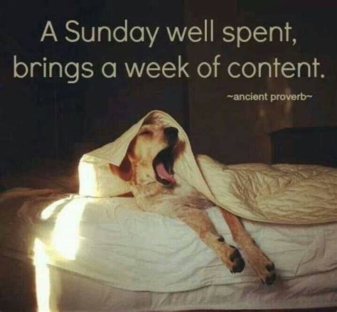 A Sunday Well Spent Brings A Week Of Happiness And Content Pictures