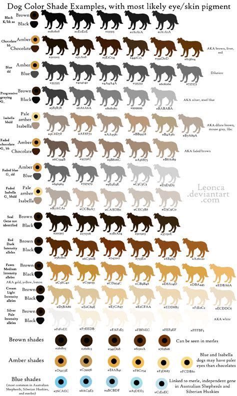 Dog Eye Color Genetics Chart Riyadel Jannah