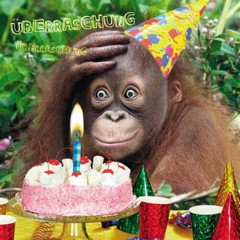 Tierisch Alles Gute Zum Geburtstag Humor Geburtstag Gratulieren
