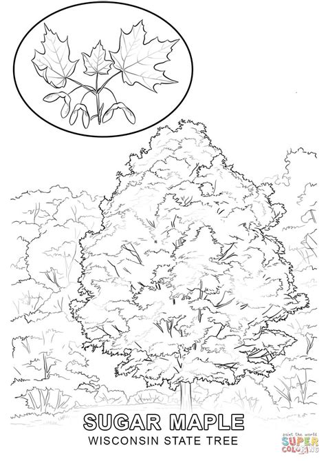 Aesop's fables coloring pages all about me coloring pages alphabet coloring pages american sign language coloring pages bible coloring pages bingo dauber art sheets birthday coloring pages circus. New Mexico Tree Coloring Page - Coloring Home