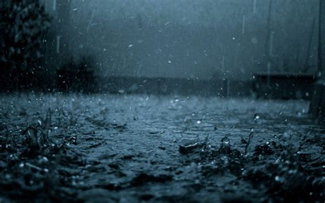 Rainy Nature Wallpapers Top Free Rainy Nature Backgrounds