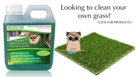 They clean and disinfect artificial grass with a special solution. artificial grass cleaner - Top Dog Turf
