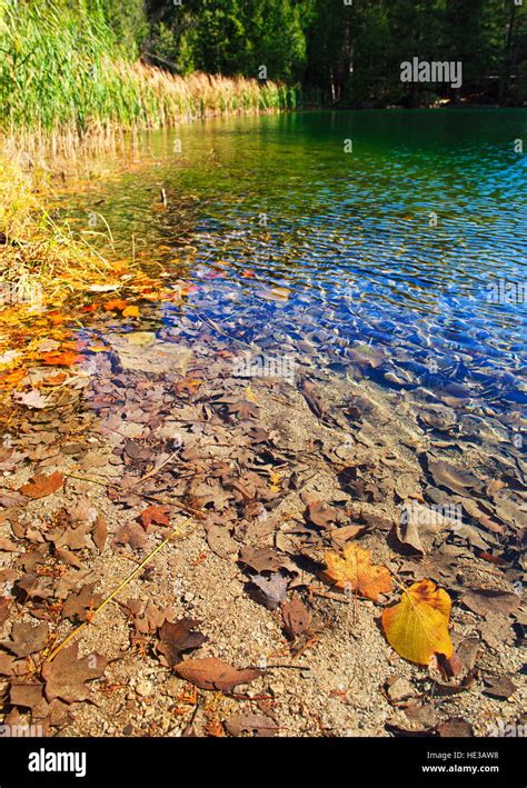 Crawford Lake Conservation Halton Stock Photo Alamy