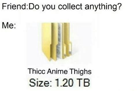 Thicc Anime Thighs Ranimemes