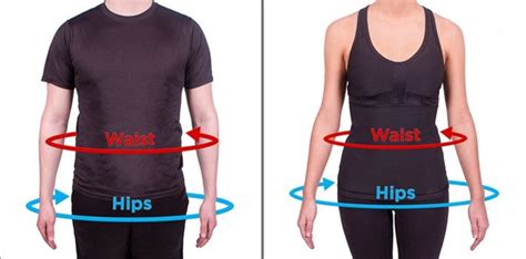 What Is Your Waist To Hip Ratio Quora