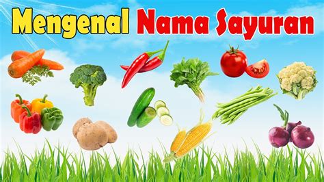 Belajar Mengenal Nama Nama Sayuran Dalam Bahasa Indonesia Dan Bahasa