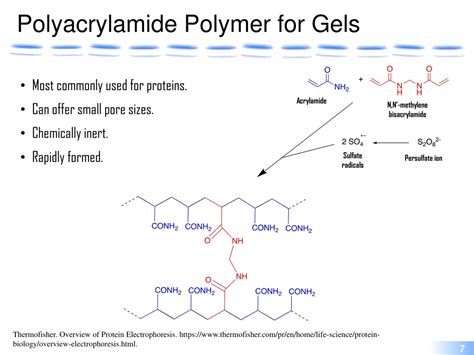 Ppt Polyacrylamide Gel Electrophoresis Powerpoint Presentation Free
